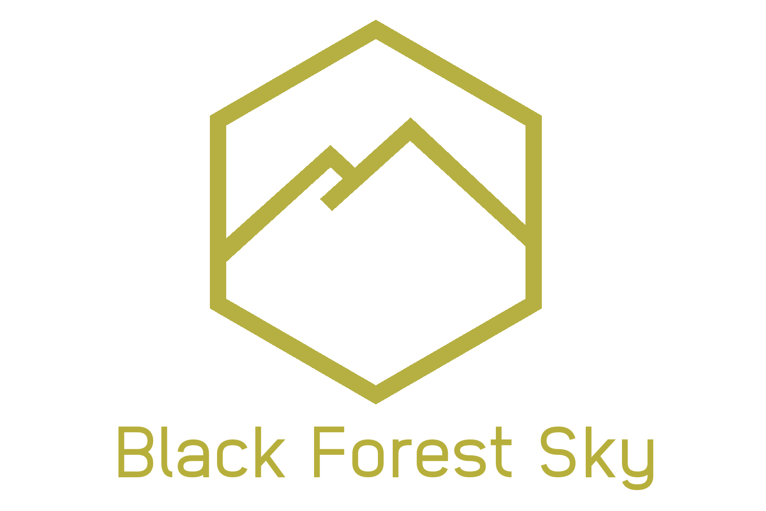 Black Forest Sky | Werb-, Medien- & Dienstleistungsagentur